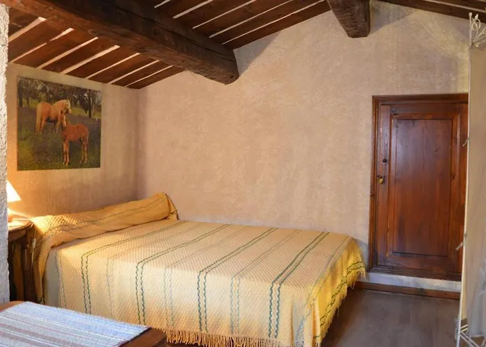 Будинок відпочинку Maison Cosy Avec Mezzanine, Jardin Et Terrasse A 600m De La De Saint-clair, 6 Couchages - Fr-1-251-46